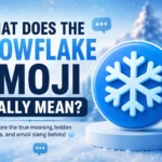Snowflake emoji meaning explained with winter, texting, slang, and social media uses