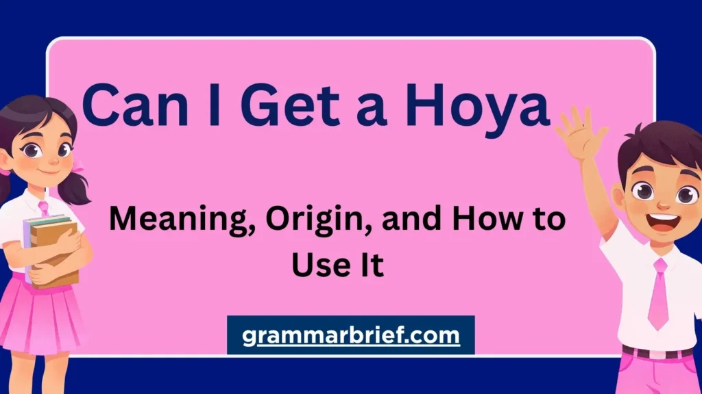 Can I Get a Hoya? Meaning, Origin, and How to Use It