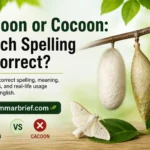Cacoon or Cocoon spelling comparison with a caterpillar and cocoon
