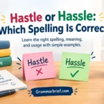 Hastle or Hassle correct spelling guide showing the difference between the two words