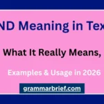 DND meaning in text: Do Not Disturb explained with examples