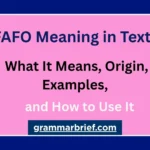 FAFO meaning in text, definition, examples, and how to use it
