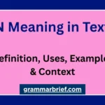 FN meaning in text with definitions, uses, and examples