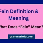 Fein definition and meaning explained with examples
