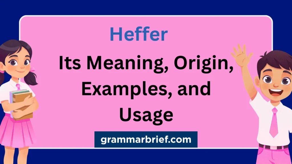 Heffer its meaning, origin, examples, and usage