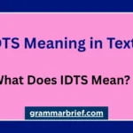 IDTS meaning in text and what IDTS stands for