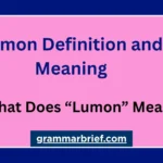 Lumon definition and meaning in Severance