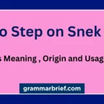 No Step on Snek meaning and Gadsden flag snake meme