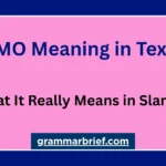 PMO meaning in text and its slang meanings
