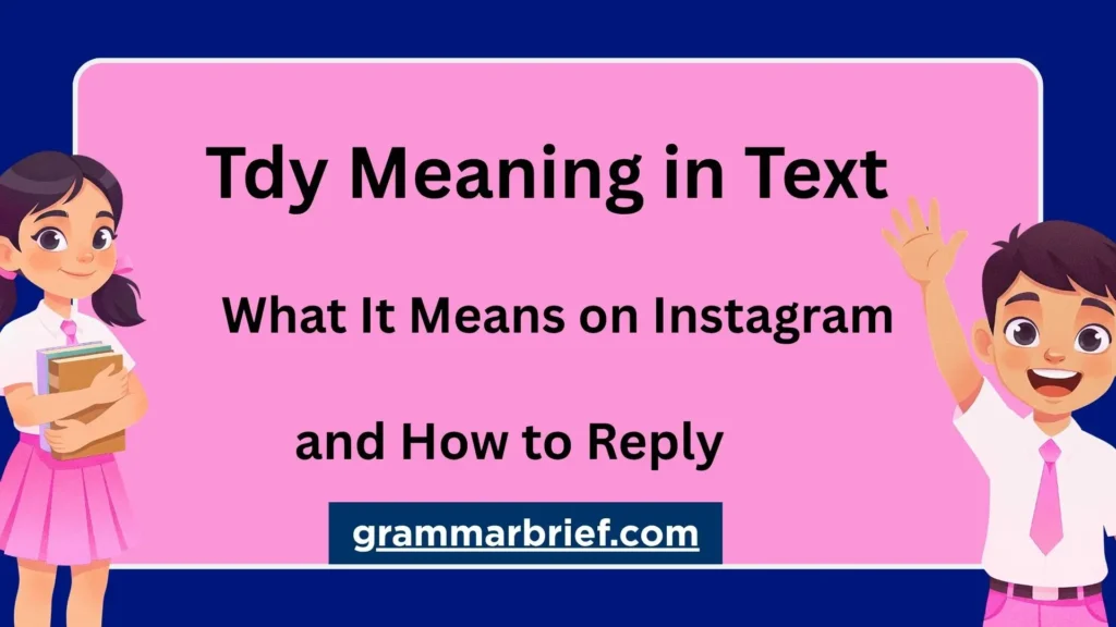 Tdy meaning in text explained with Instagram examples and reply tips