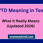 WTD meaning in text explained with its common meaning, “What To Do?”