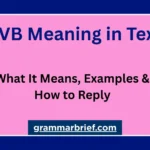 EVB meaning in text, possible meaning of everybody, examples, and how to reply