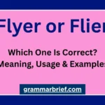 Flyer or flier spelling difference and usage