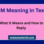 IDM meaning in text explained with examples of how to reply in a chat.