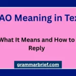 IMAO meaning in text and examples of how to reply to the abbreviation