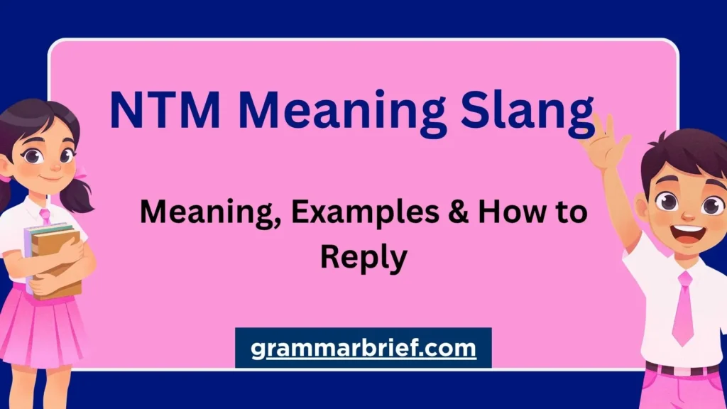 NTM meaning slang explained with text examples and how to reply