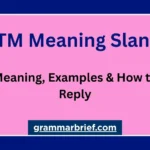 NTM meaning slang explained with text examples and how to reply
