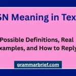 SN meaning in text with possible definitions and examples