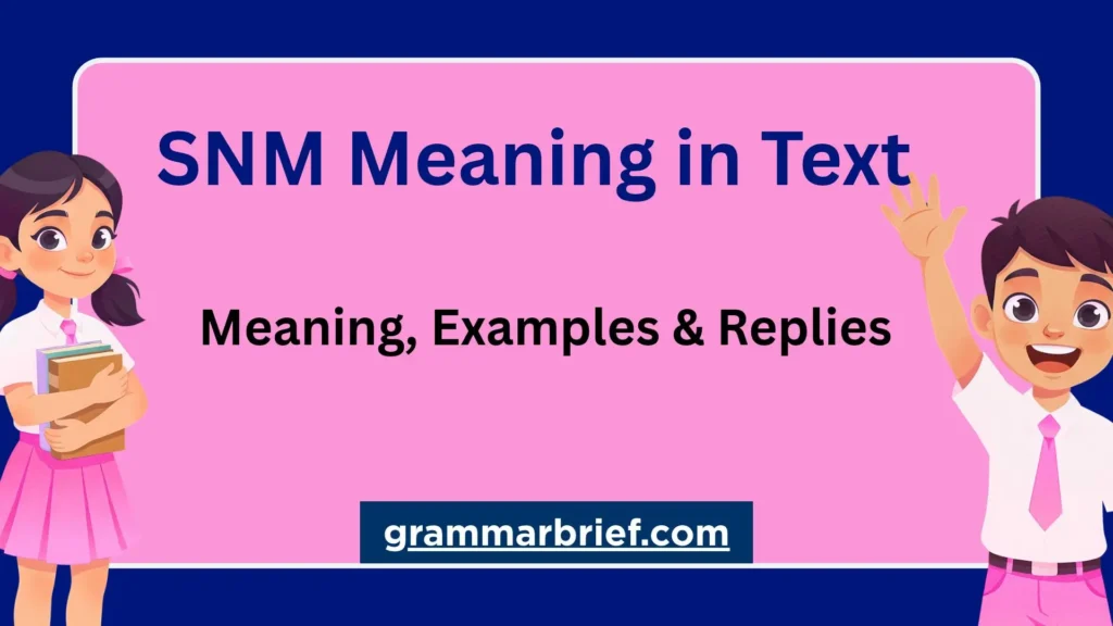 SNM meaning in text with examples and replies explained