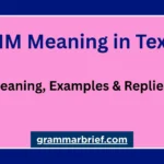 SNM meaning in text with examples and replies explained