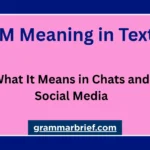 TM meaning in text explained with a colorful educational graphic about chats and social media.