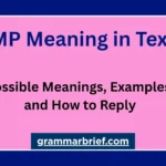 TMP meaning in text and possible meanings with examples and replies