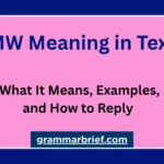 TMW meaning in text, with examples and how to reply.