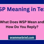 WSP meaning in text explained with examples and ways to reply