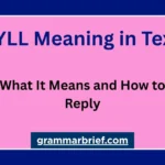 WYLL meaning in text and how to reply