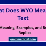 What does WYO mean in text with texting examples and replies